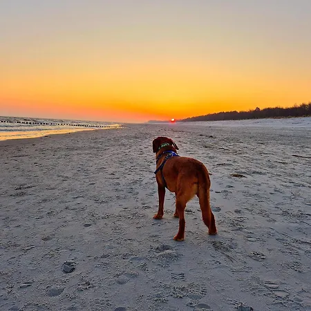 Apartmán Appartementhaus 4 - Urlaub Zwischen & Bodden *
