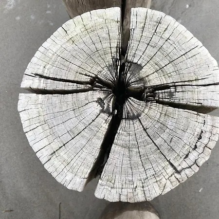 Appartementhaus 4 - Urlaub Zwischen & Bodden 징스트