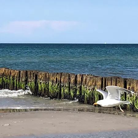 Apartament Appartementhaus 4 - Urlaub Zwischen & Bodden