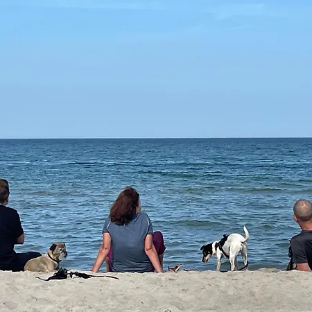 아파트 Appartementhaus 4 - Urlaub Zwischen & Bodden *